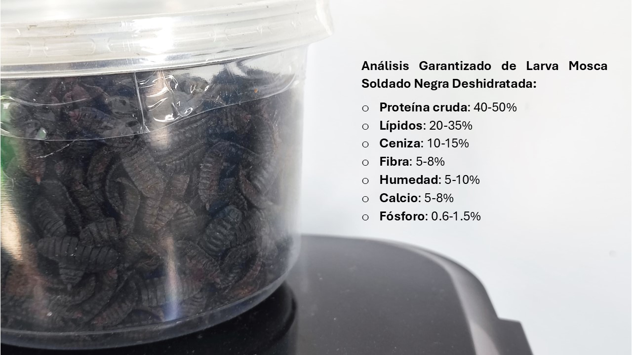 analisis